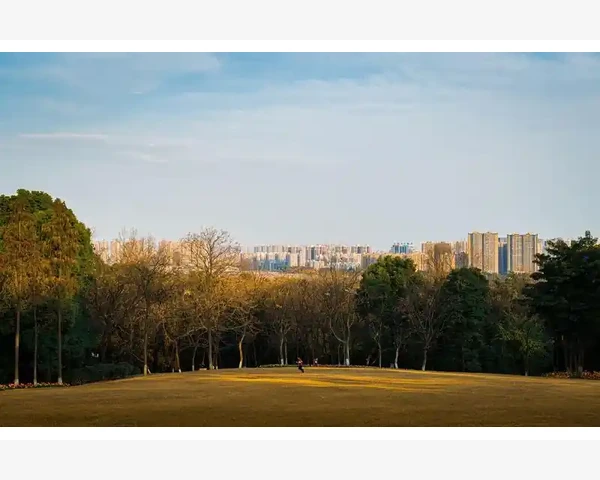 房地产会计税费处理实战要点