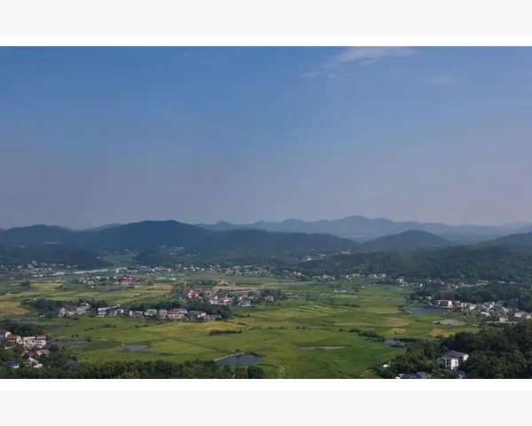 B2B场景下企业采购数字化转型实战要点
